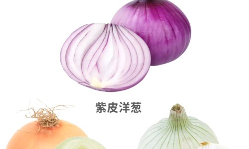 【生姜泡白醋的功效】生姜泡脚的功效 - 生姜泡红枣的功效网